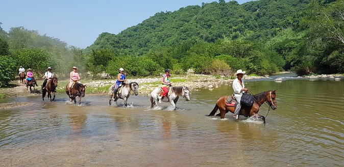 Hot Springs Horseback Riding Adventure - Key points at a glance