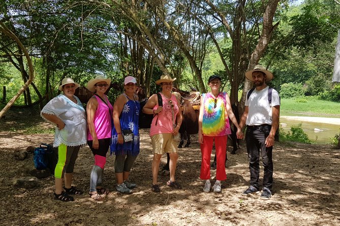 Hot Springs Horseback Riding Adventure - Meeting the horses and settling into the saddle