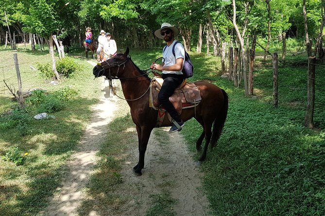 Hot Springs Horseback Riding Adventure - What the included transport and group size mean