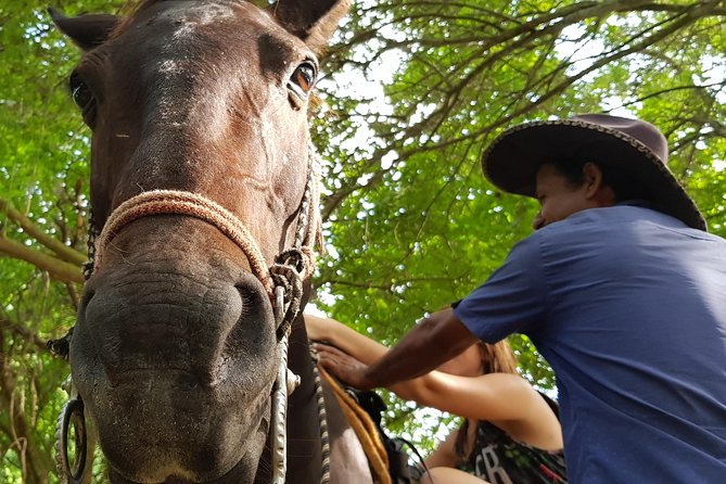 Hot Springs Horseback Riding Adventure - Value, limitations, and who should book
