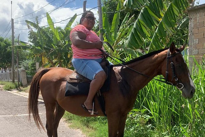 Hour Horseback Riding Guided Tour from Runaway Bay - Seeing the villages from horseback