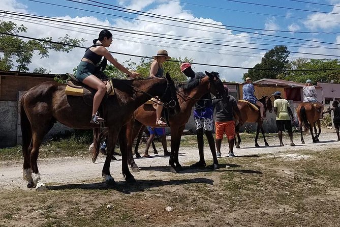 Hour Horseback Riding Guided Tour from Runaway Bay - Reaching the beach and riding through the water