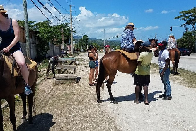 Hour Horseback Riding Guided Tour from Runaway Bay - The river option and time in the water