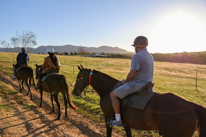 Hunter Valley Horse Ride - 90 Minutes -Vineyard & Mountain Views - Key points to know before booking