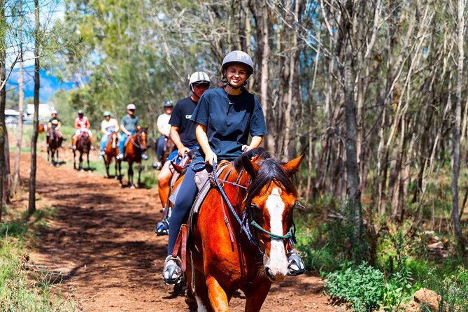 Hunter Valley Horse Ride - 90 Minutes -Vineyard & Mountain Views - What 90 minutes feels like in practice