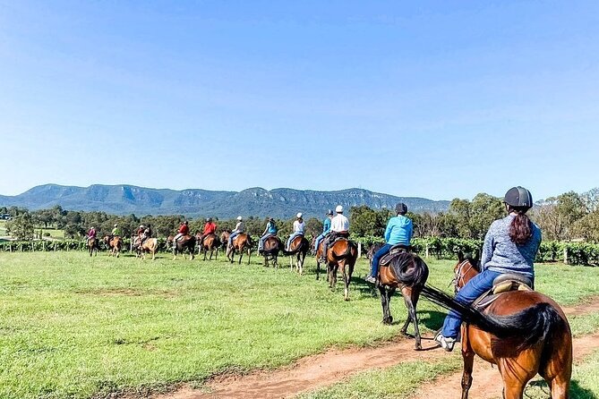 Hunter Valley Horse Ride - 90 Minutes -Vineyard & Mountain Views - Who will enjoy this ride most