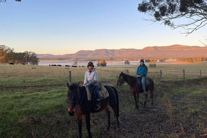 Hunter Valley Horse Ride - 90 Minutes -Vineyard & Mountain Views - Is $98.43 a fair price?