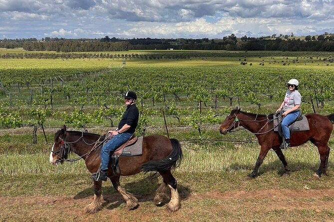 Hunter Valley Horse Ride - 90 Minutes -Vineyard & Mountain Views - Through bushland, farmland, and vineyards