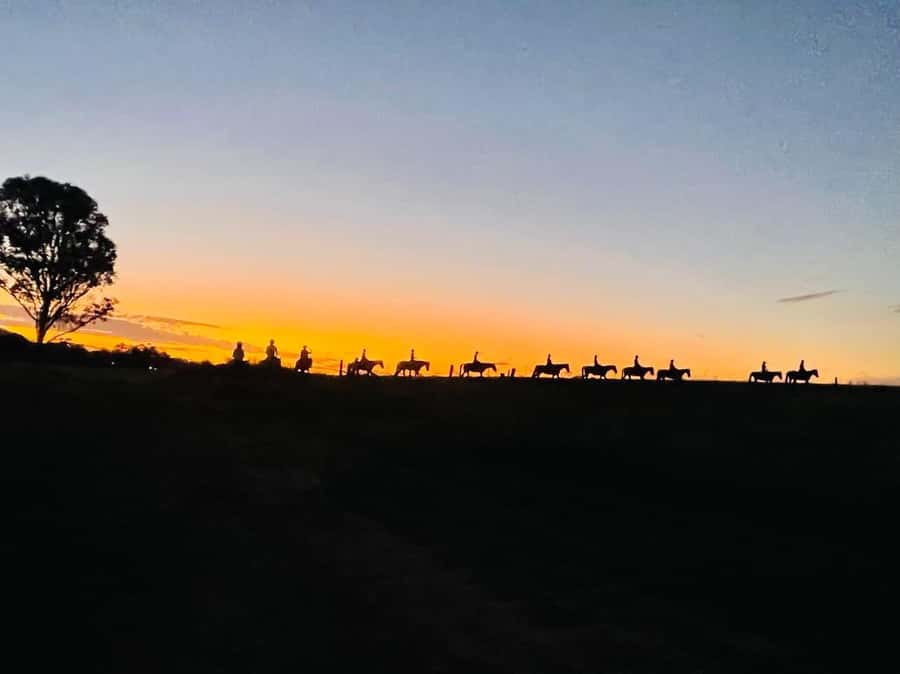 Hunter Valley: Sunset Horse Riding Tour 90min - Key points at a glance