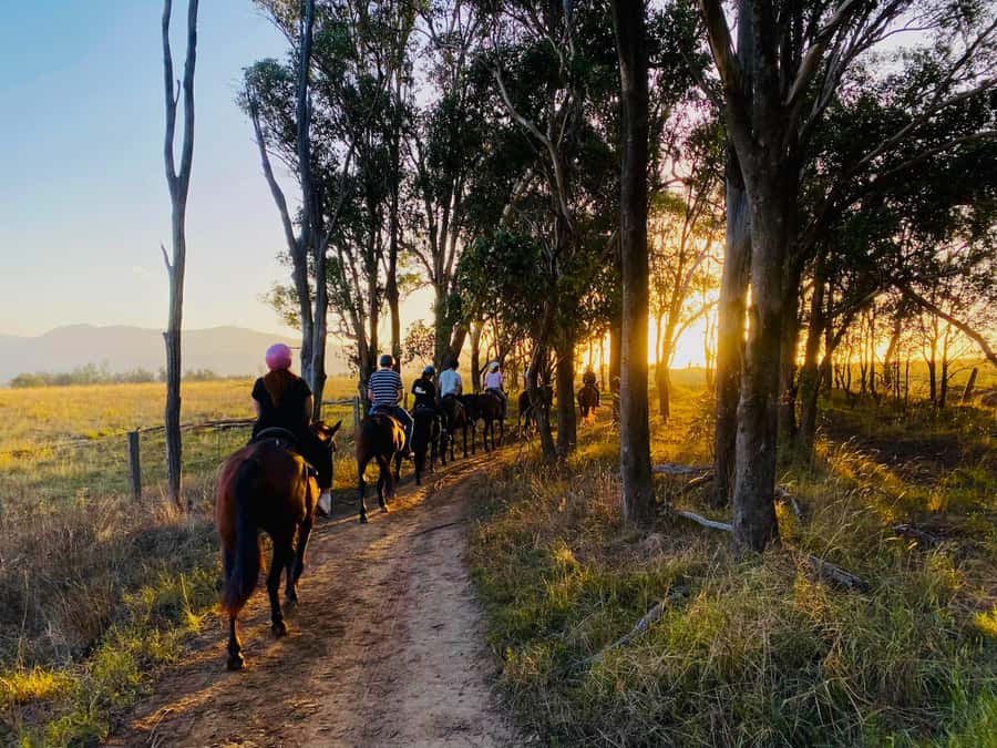 Hunter Valley: Sunset Horse Riding Tour 90min - A sunset ride through Hunter Valley country