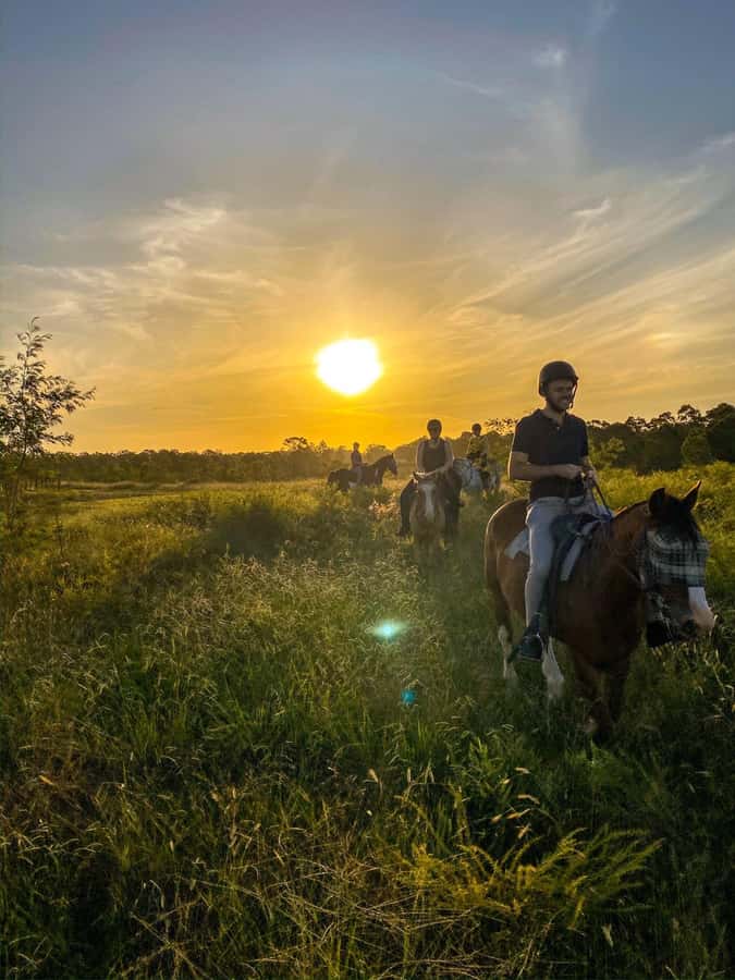 Hunter Valley: Sunset Horse Riding Tour 90min - Following the bushland and farmland trails