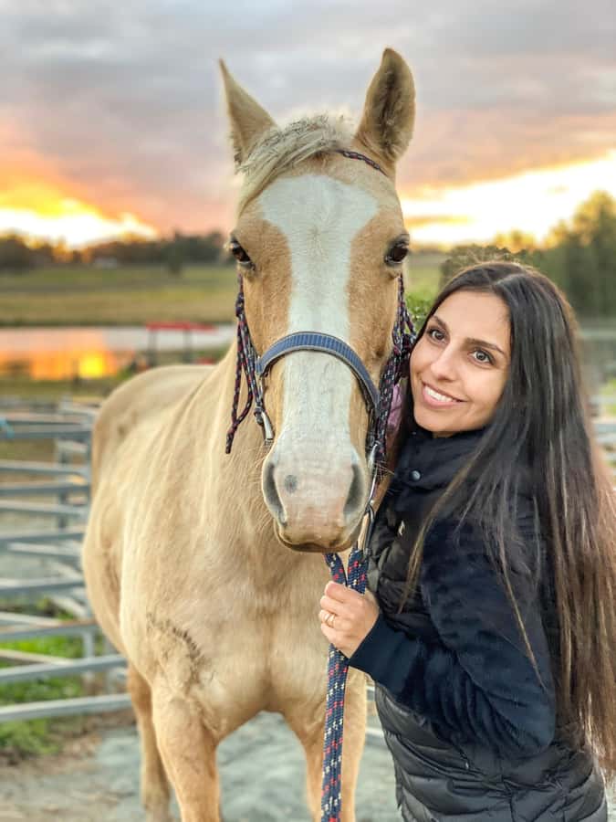 Hunter Valley: Sunset Horse Riding Tour 90min - Sunset and the Broken Back Range