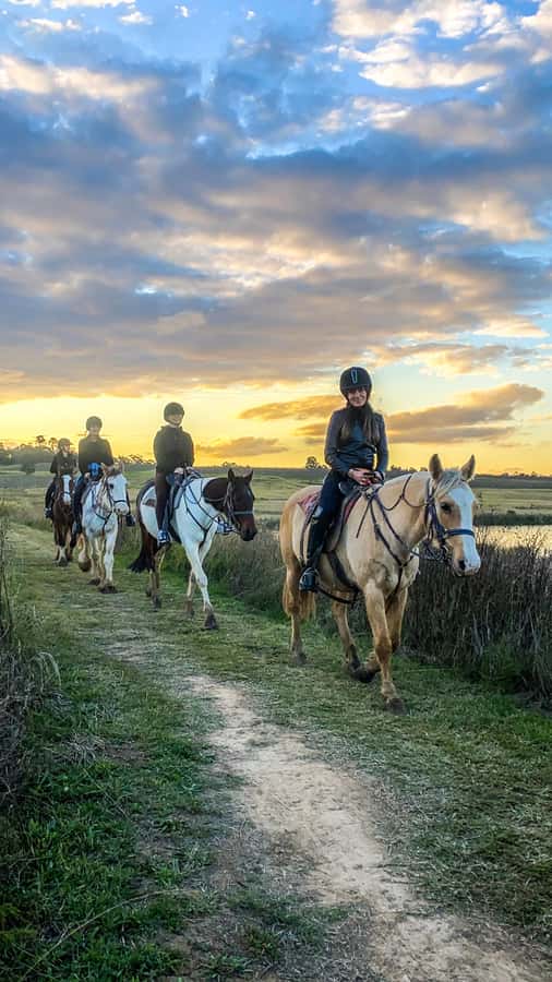 Hunter Valley: Sunset Horse Riding Tour 90min - What the 90-minute format is worth