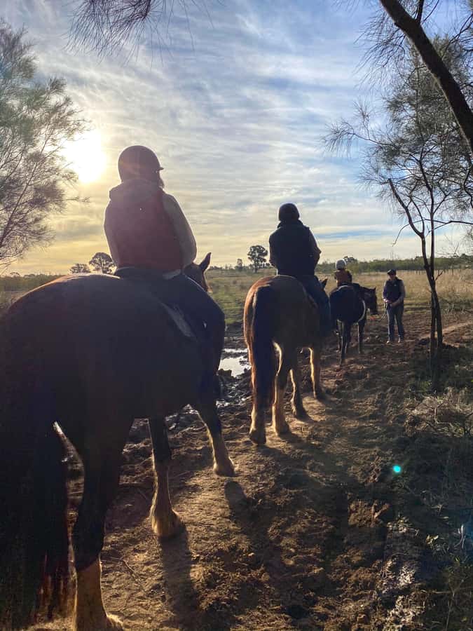 Hunter Valley: Sunset Horse Riding Tour 90min - The group format and what it means