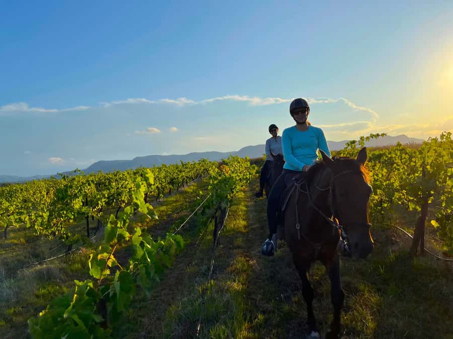 Hunter Valley: Sunset Horse Riding Tour 90min - Meeting your horse before the ride