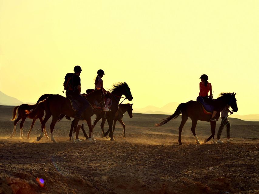 Hurghada: 4 Days Tour Horse, Camel, Spa, ATV, Jeep & Dolphin - Why the four-day format works in Hurghada
