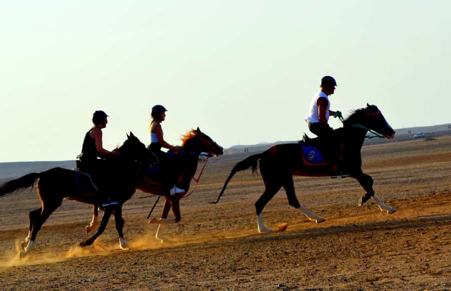 Hurghada: Arabian Desert and Sea Horseback Adventure - Choosing between sunrise, afternoon, and sunset