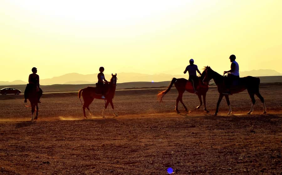 Hurghada: Arabian Desert and Sea Horseback Adventure - Safety, comfort, and horse care