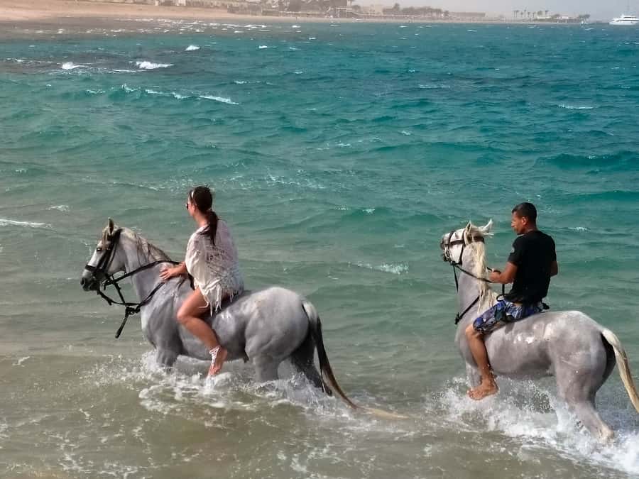 Hurghada: Arabian Desert and Sea Horseback Adventure - Who will enjoy this most