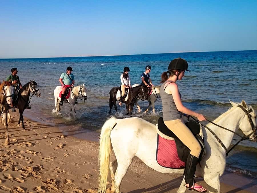 Hurghada: Arabian Desert and Sea Horseback Adventure - Should you book this Hurghada horse ride?