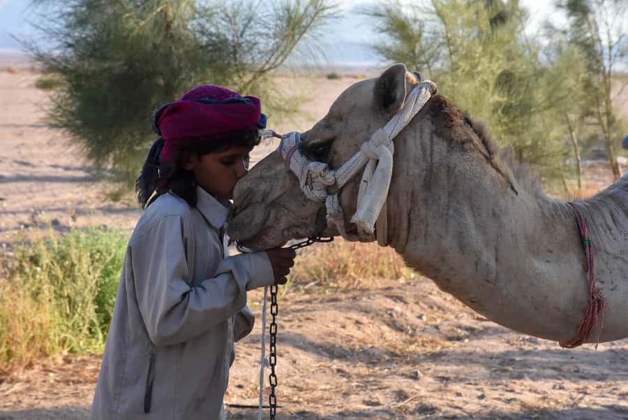 Hurghada: Camel Ride & horse ride and Off-Road Jeep Tour - Key points at a glance