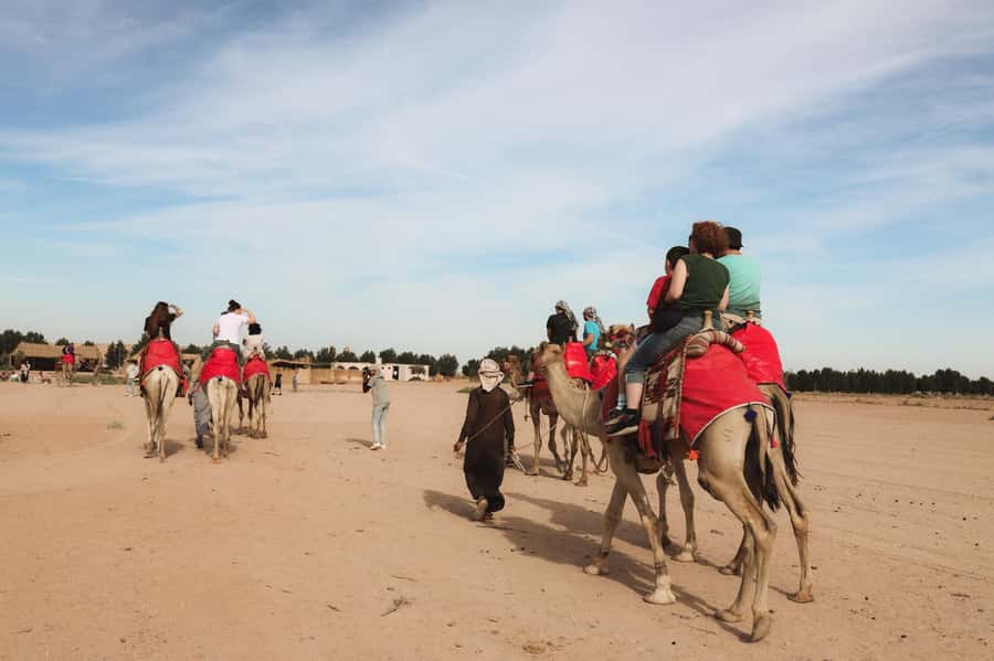 Hurghada: Camel Ride & horse ride and Off-Road Jeep Tour - Who will enjoy this desert outing most