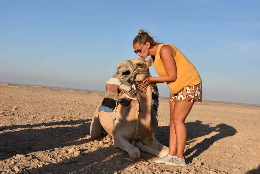 Hurghada: Camel Ride & horse ride and Off-Road Jeep Tour - Pickup from Hurghada and the Red Sea resorts