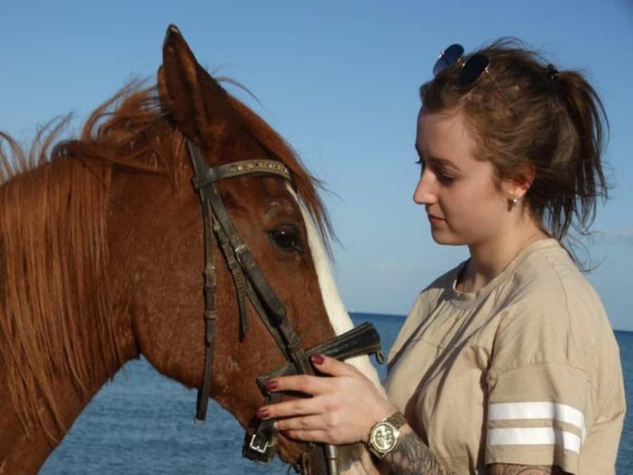 Hurghada: Desert and Sea Horseback Riding Tour with Transfer - At a Glance