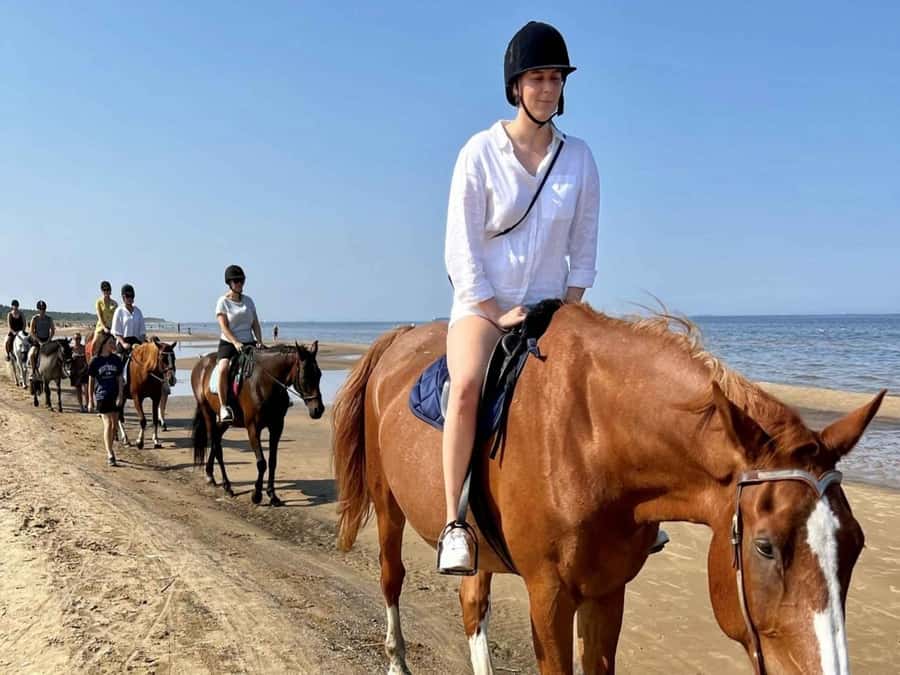 Hurghada: Desert and Sea Horseback Riding Tour with Transfer - Who Will Enjoy This Ride Most?