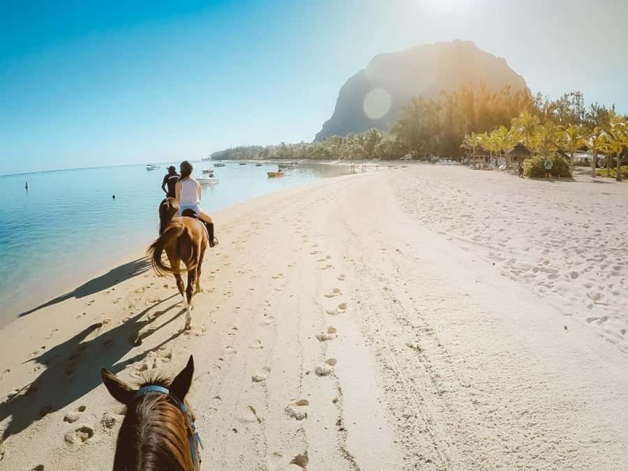 Hurghada: Desert and Sea Horseback Riding Tour with Transfer - Leaving Hurghada for the Stable