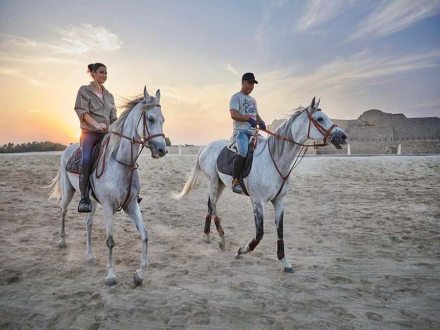 Hurghada: Desert and Sea Horseback Riding Tour with Transfer - Crossing the Desert on Horseback