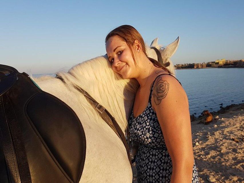 Hurghada: Desert and Sea Horseback Riding Tour with Transfer - Safety, Horses, and Riding Ability