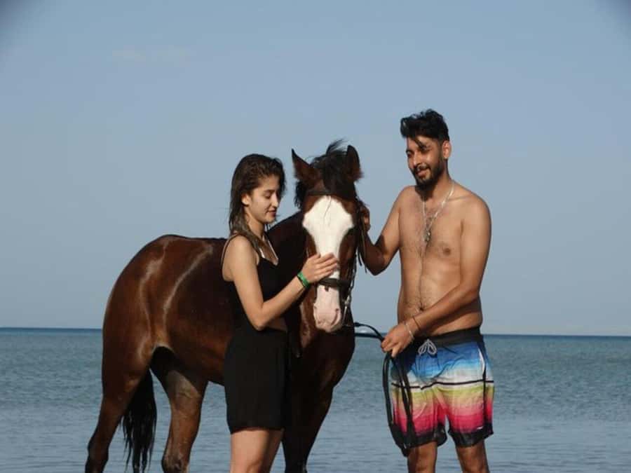 Hurghada: Desert and Sea Horseback Riding Tour with Transfer - What the $50 Price Really Buys