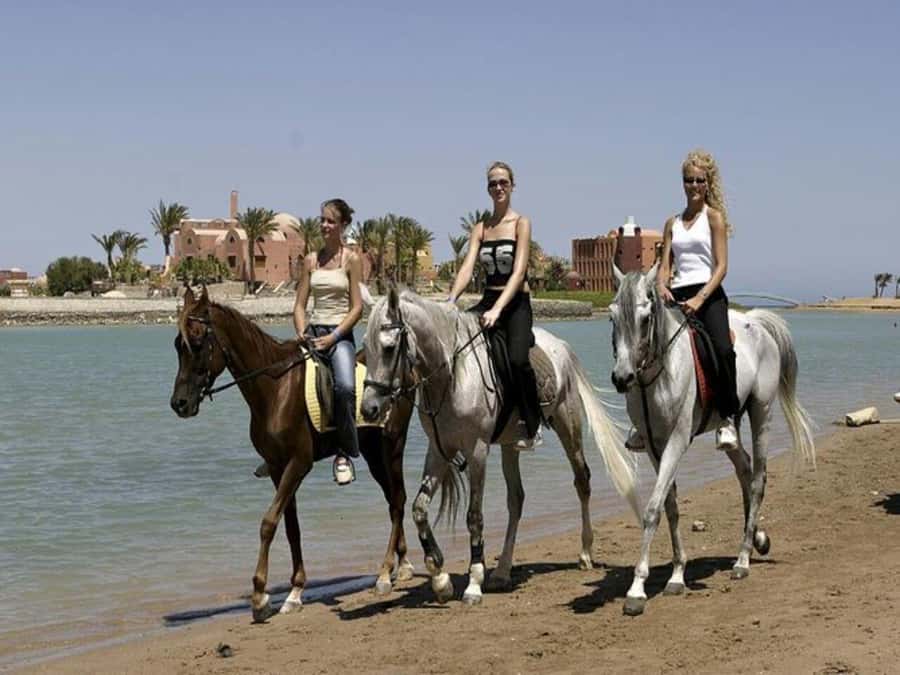 Hurghada: Desert and Sea Horseback Riding Tour with Transfer - When to Book and What to Bring