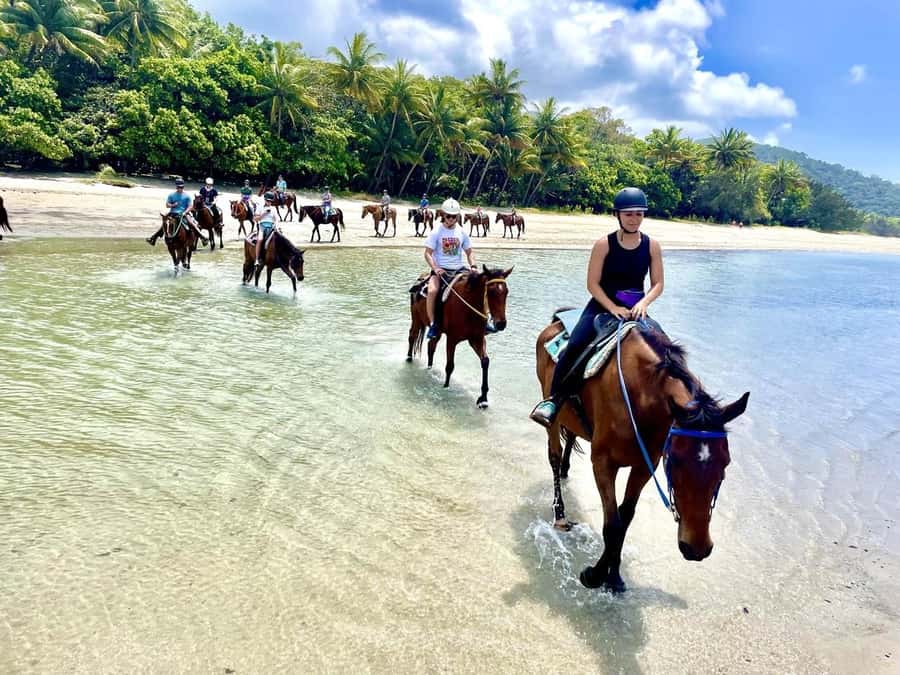 Hurghada: Desert and Sea Horseback Riding Tour with Transfer - Meeting Your Horse and Learning the Basics