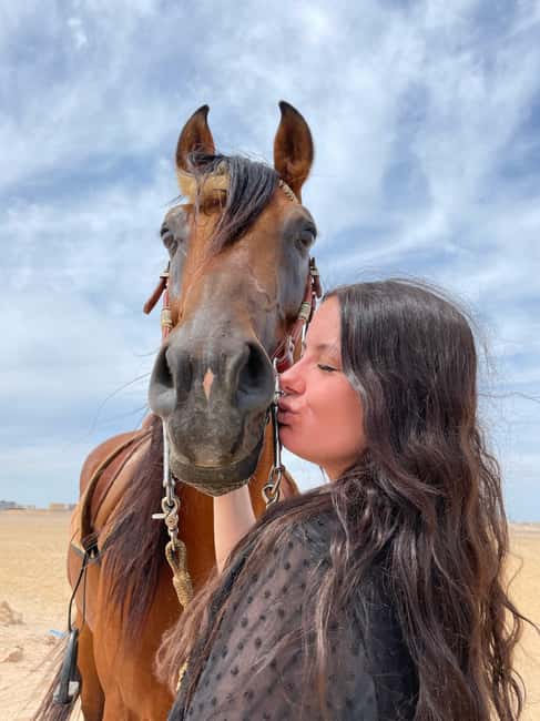 Hurghada: Desert & Sea Horse Riding with + 360° Photos - Booking details and small practical warnings