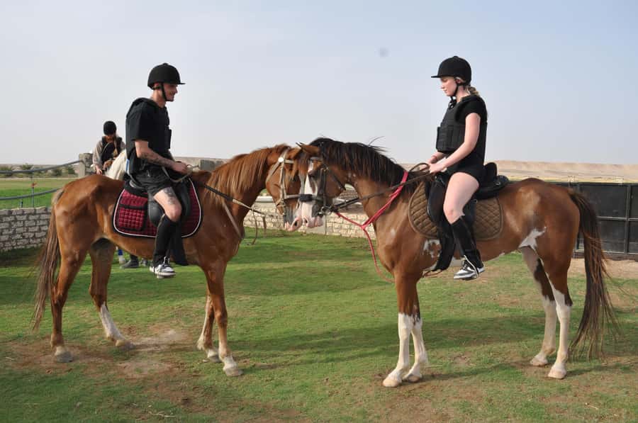 Hurghada: Horse Ride, BBQ Dinner, and Stargazing - Key points to know before booking