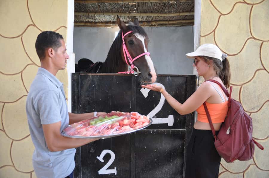 Hurghada: Horse Ride, BBQ Dinner, and Stargazing - Stargazing under a clear desert sky