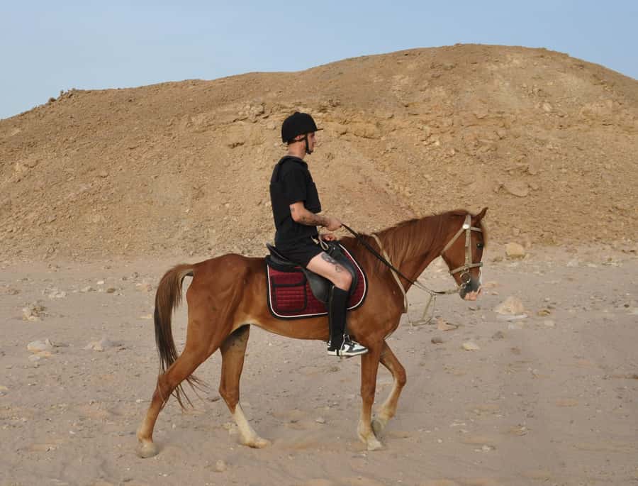 Hurghada: Horse Ride, BBQ Dinner, and Stargazing - What to pack for the afternoon and night