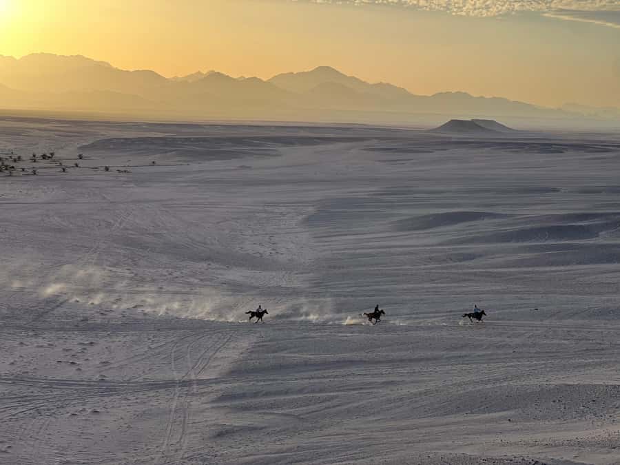 Hurghada: Horse Ride, BBQ Dinner, and Stargazing - Pickup, the meeting point, and the rough road out
