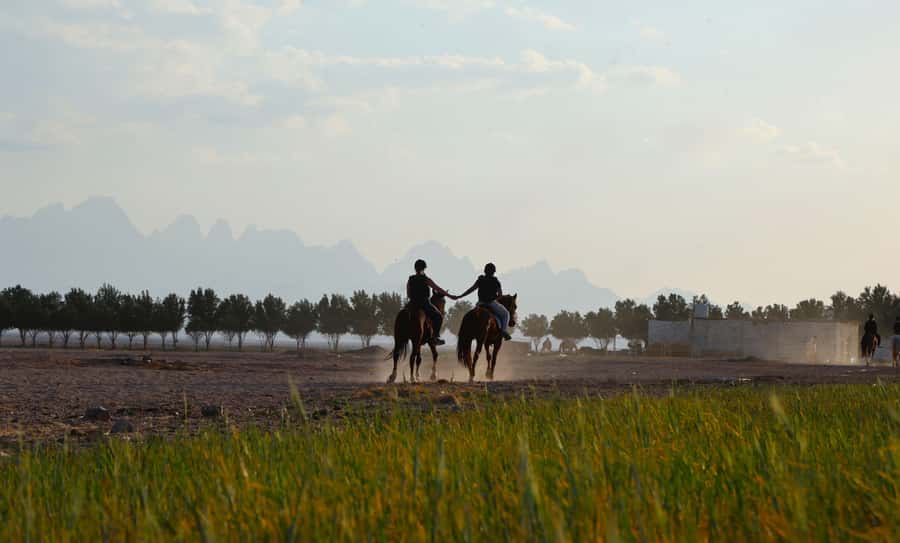 Hurghada: Horse Riding & Safari Adventure - Leaving Hurghada for the Red Sea desert
