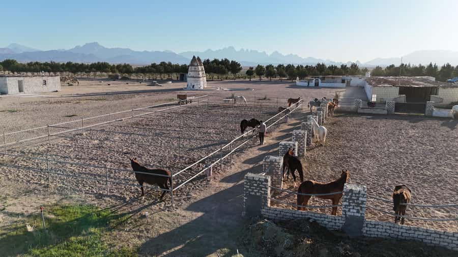 Hurghada: Horse Riding & Safari Adventure - Two hours through the desert valleys
