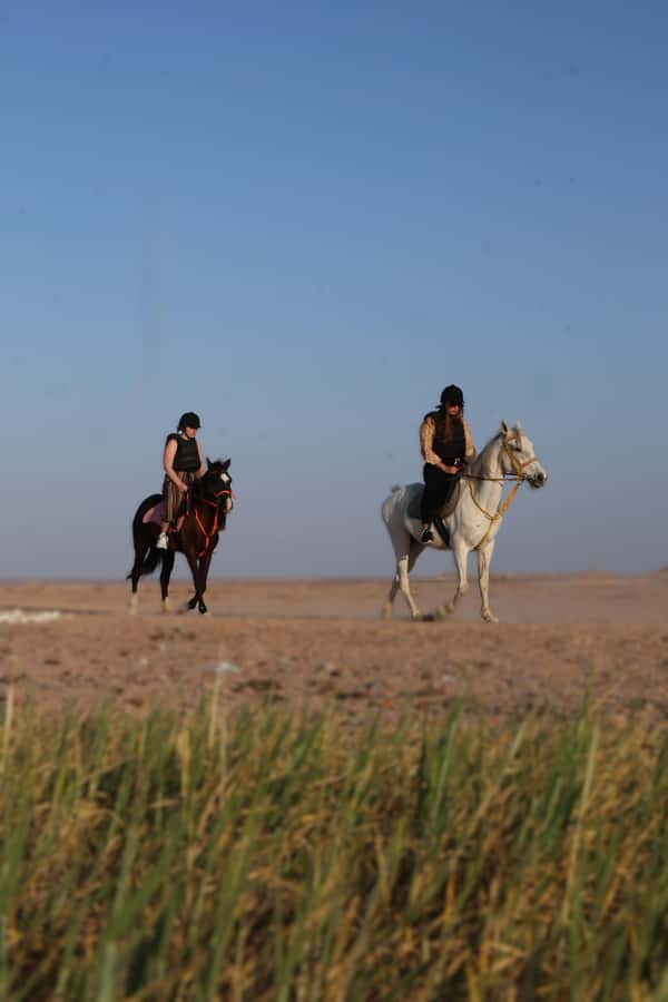 Hurghada: Horse Riding & Safari Adventure - Bedouin tea, coffee, and a proper riding briefing