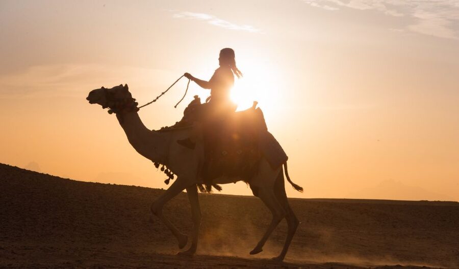 Hurghada: Quad Bike Safari, Camel Horse Ride, Dinner & Shows - Belly dancing and Tanoura after dinner