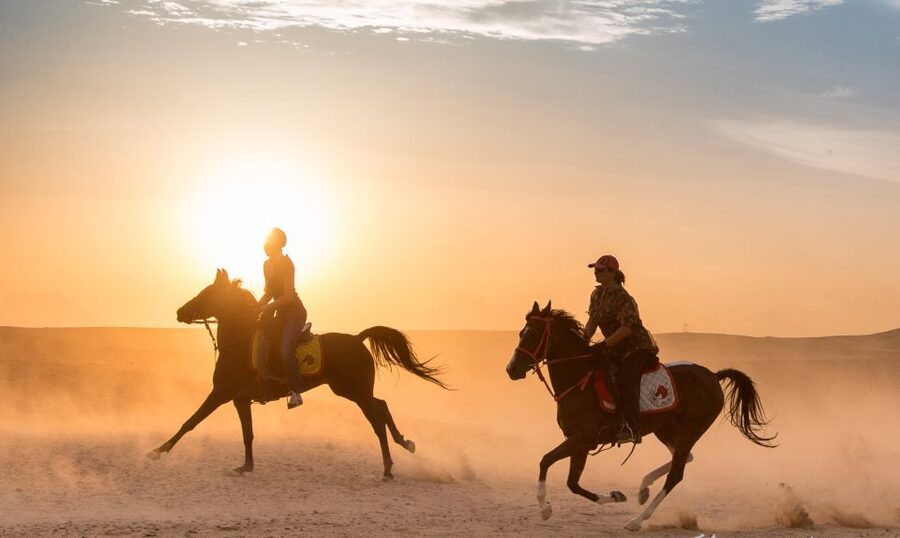 Hurghada: Quad Bike Safari, Camel Horse Ride, Dinner & Shows - Telescope stargazing with a professional astronomer