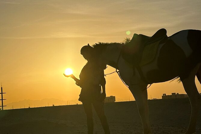 Hurghada: Red Sea & Desert Horse Riding Tour with Swimming - Meeting the horses and learning the basics