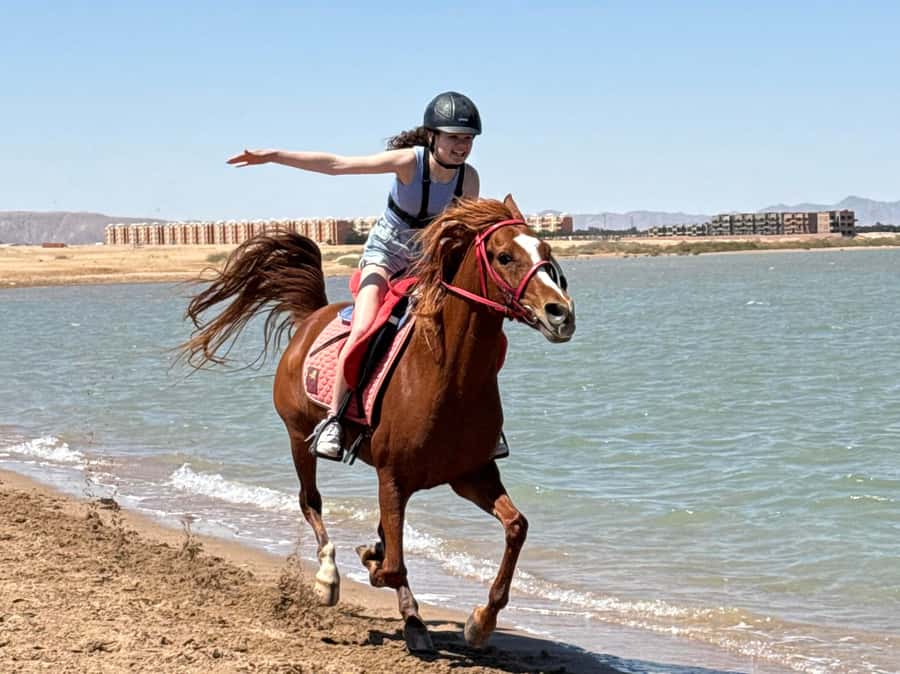 Hurghada: Sea & Desert Horse Riding tour/w Swimming&Transfer - Key points before you saddle up