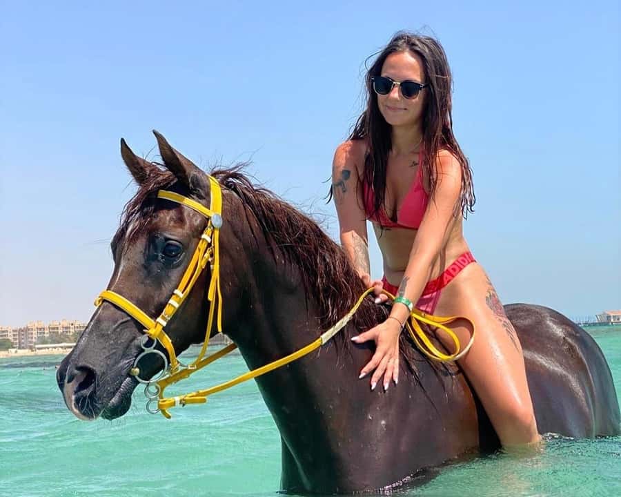 Hurghada: Sea & Desert Horse Riding tour/w Swimming&Transfer - From Hurghada hotel pickup to Lucky Horses Stable