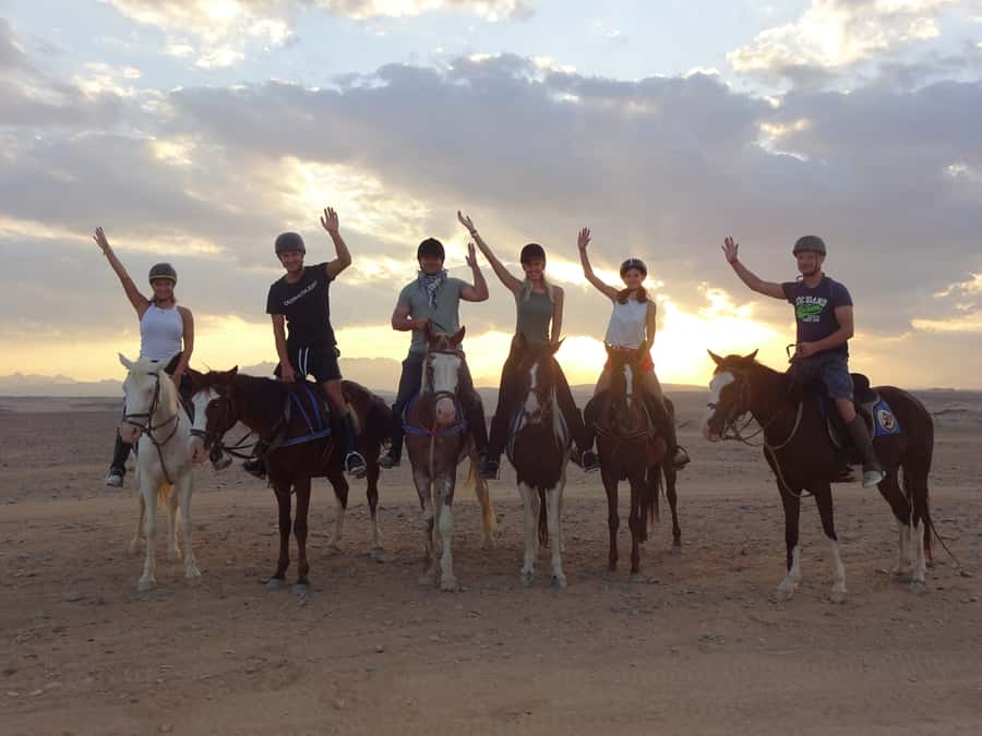Hurghada: Sea & Desert Horse Tour, Stargazing, Dinner & Show - Why this ride is different from a standard Hurghada excursion