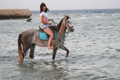 Sea & Desert Horse Tour, Stargazing, Dinner & Show